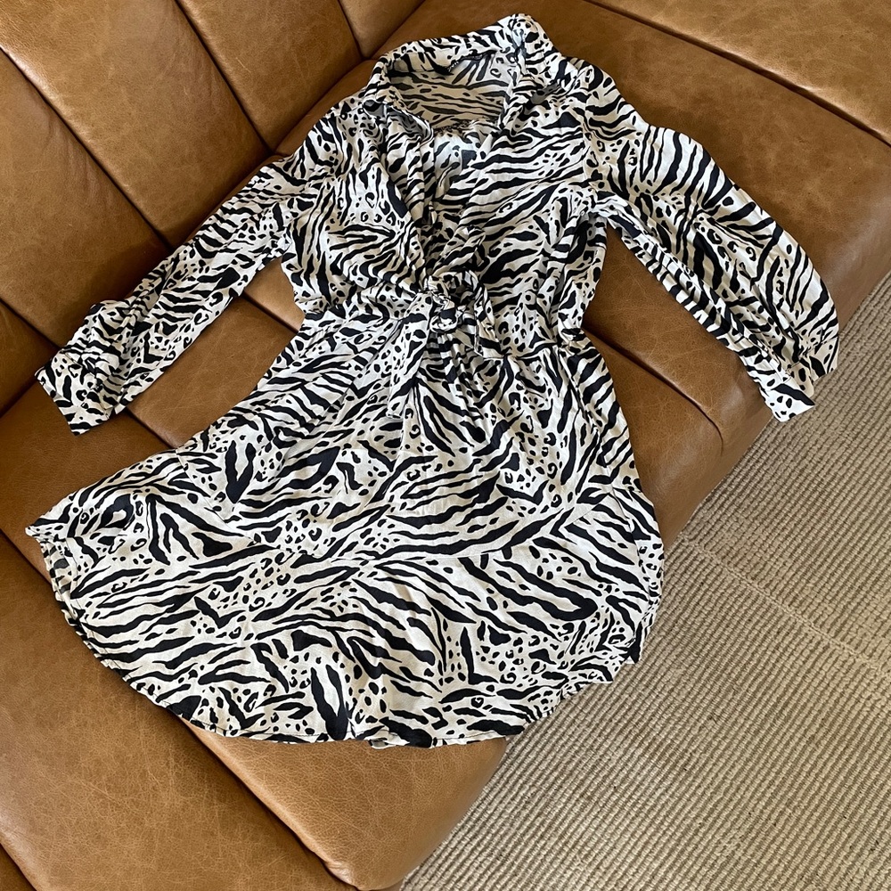HOT Zara Animal Print Dress
